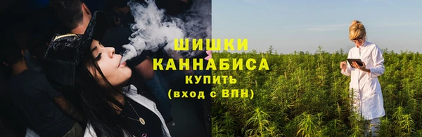 стаф Елабуга