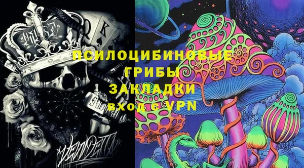 стаф Елабуга