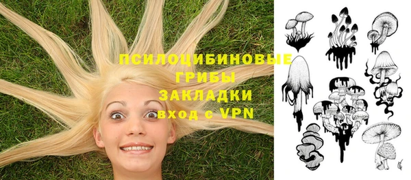 стаф Елабуга
