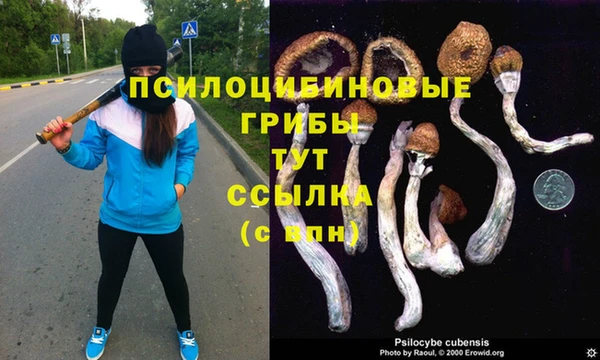 a pvp Елизово