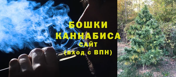 стаф Елабуга