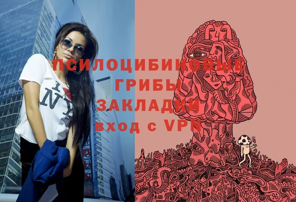 стаф Елабуга