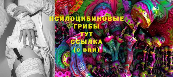 mdma Ельня