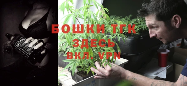 стаф Елабуга