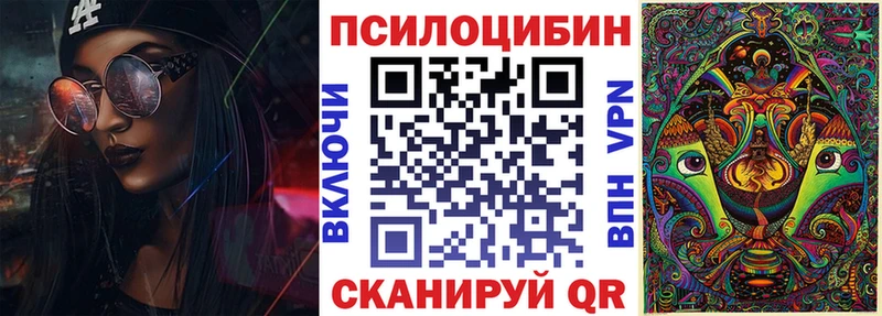 Купить закладки  Ахтырский  Галлюциногенные грибы Psilocybe 
